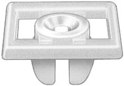 A11368-2T.jpg